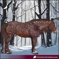 Horse Color:Chocolate Brown Snowflake Varnish 