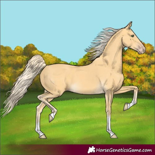 Horse Color:Gold Cream Champagne Tobiano 