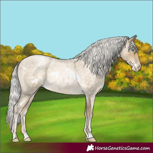 Horse Color:White Spotted Silver Buckskin Roan Pearl Rabicano 