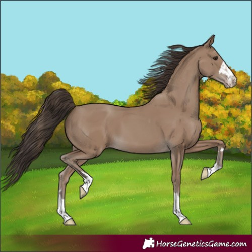 Horse Color:Classic Champagne 
