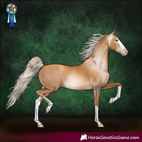 Horse Color:Gray Gold Cream Champagne Splash 