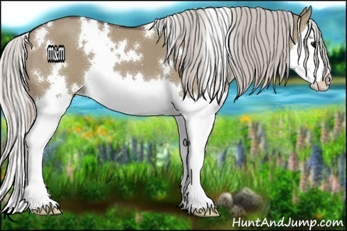 Horse Color:White Spotted Silver Grullo Splash