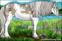 Horse Color:White Spotted Silver Grullo Splash 