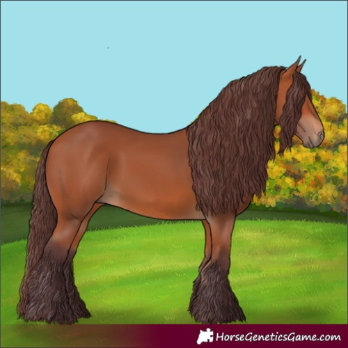 Horse Color:Chocolate Bay 