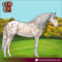 Horse Color:Chocolate Palomino Pearl Appaloosa 