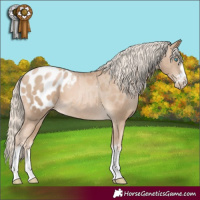 Horse Color:Chocolate Palomino Pearl Appaloosa