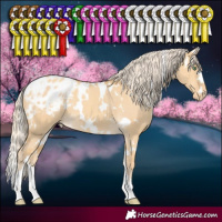 Horse Color:White Spotted Gold Cream Champagne Dun Blanket 