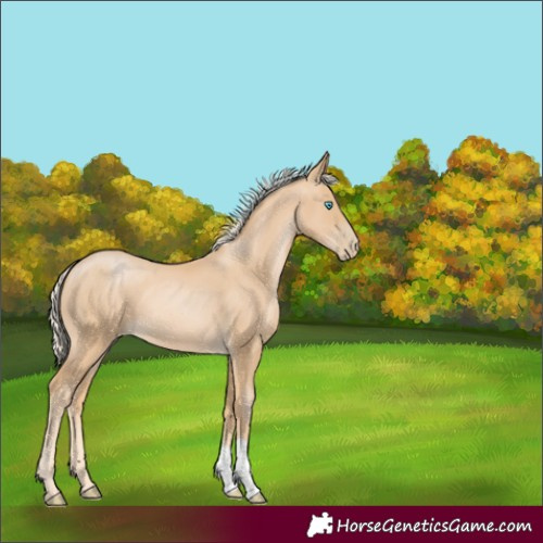 Horse Color:Palomino Pearl 