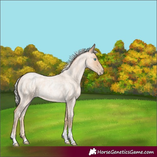 Horse Color:Silver Smoky Blue Roan Pearl 