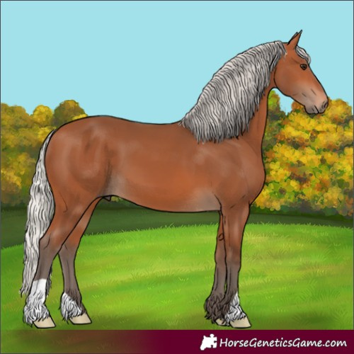 Horse Color:Silver Bay 
