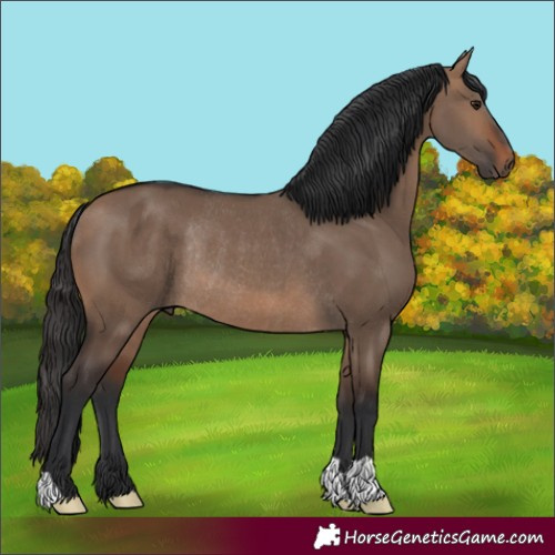 Horse Color:Brown Dun Rabicano 