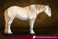 Horse Color:Red Onyx Pearl Skewed LP Spotted 