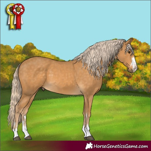 Horse Color:Palomino 