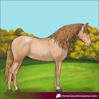 Horse Color:Chestnut Pearl Varnish