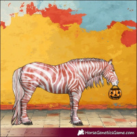 Horse Color:Silver Bay Pearl Tobiano Appaloosa