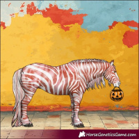 Horse Color:Silver Bay Pearl Tobiano Appaloosa 