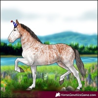 Horse Color:White Spotted Bay Splash and White Spotted Bay Splash