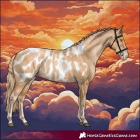 Horse Color:Chestnut Pearl Appaloosa