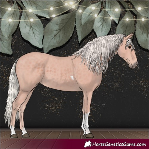 Horse Color:Silver Black Tobiano 