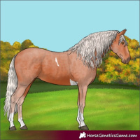 Horse Color:Silver Bay Tobiano 