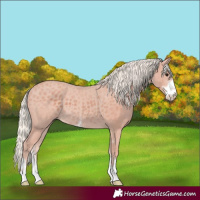 Horse Color:Silver Black Sabino 