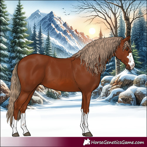 Horse Color:Chestnut 