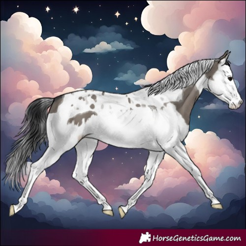 Horse Color:Grullo Splash Tobiano 