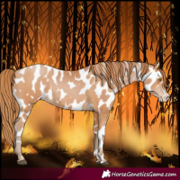Horse Color:Bay Pearl Near Leopard 