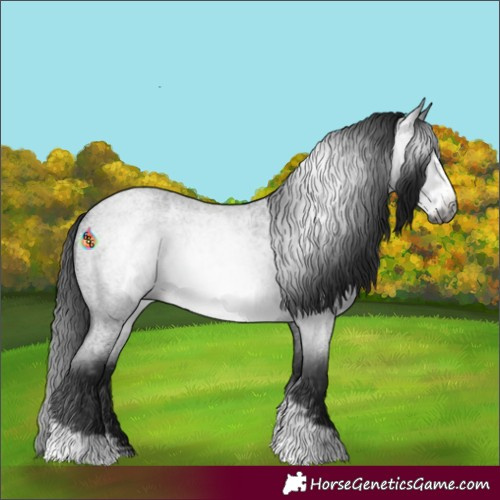 Horse Color:Gray Buckskin Roan Sabino Frame