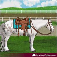 Horse Color:Platinum Liver Chestnut Pearl Appaloosa 