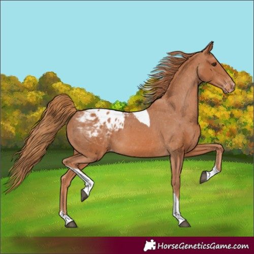 Horse Color:Chestnut Tobiano Varnish 