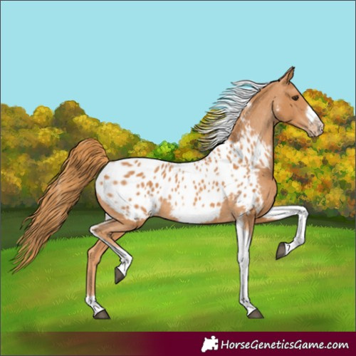 Horse Color:Chestnut Tobiano Frame Blanket 