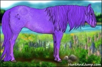 Horse Color:Watercolor Chestnut 