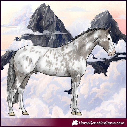 Horse Color:White Spotted Grullo Roan Splash Appaloosa Rabicano 