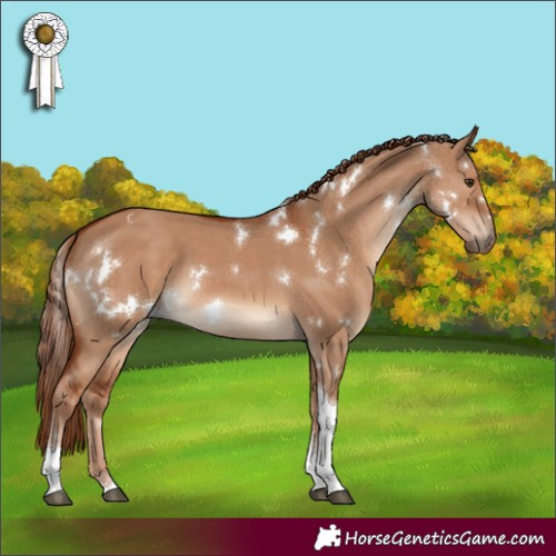 Horse Color:White Spotted Red Dun Tobiano 