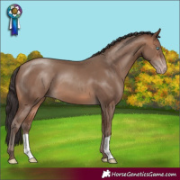Horse Color:Sable Champagne 