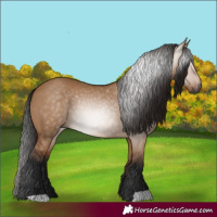 Horse Color:Gray Bay Dun