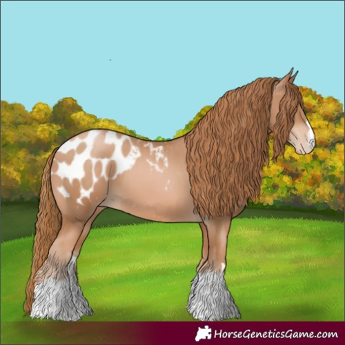 Horse Color:Chestnut Pearl Blanket