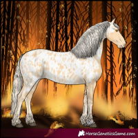 Horse Color:Palomino Near Leopard  and Palomino Near Leopard 
