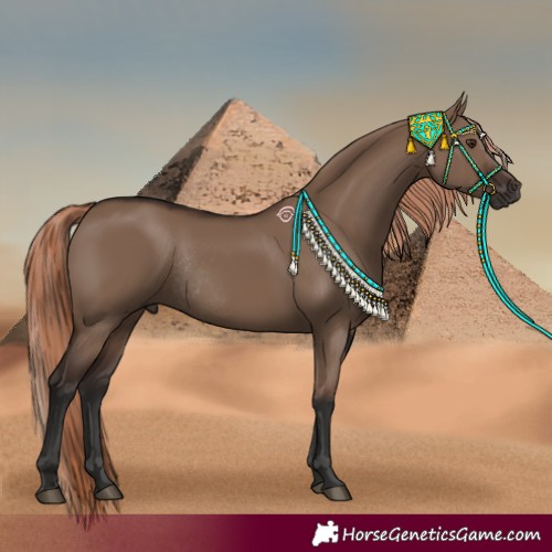 Horse Color:Liver Red Dun Rabicano 