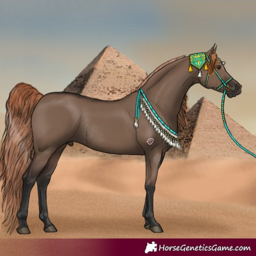Horse Color:Liver Red Dun Rabicano 