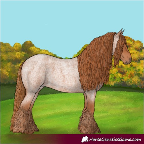 Horse Color:Red Roan