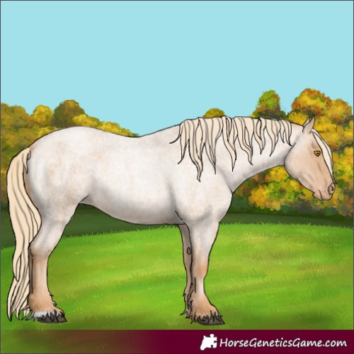 Horse Color:Red Roan Pearl Varnish 
