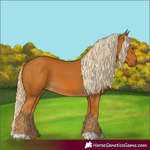Horse Color:Palomino 