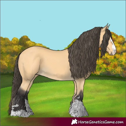 Horse Color:Buckskin