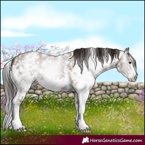Horse Color:Gray Classic Champagne Sabino Varnish
