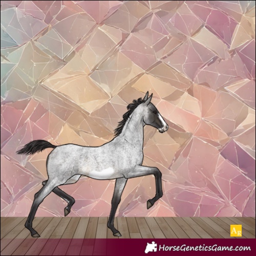 Horse Color:Buckskin Roan Sabino Frame 