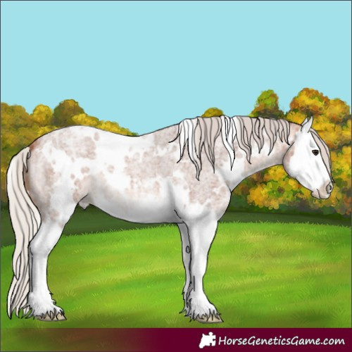 Horse Color:White Spotted Silver Bay Ice Roan Splash 