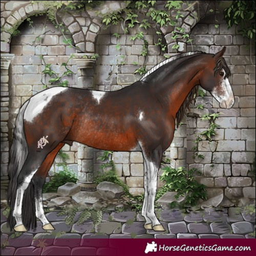 Horse Color:Brown Sabino Tobiano Rabicano 