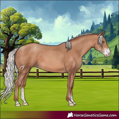 Horse Color:Silver Sable Champagne Sabino 